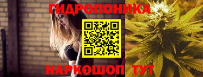 каннабис Баксан