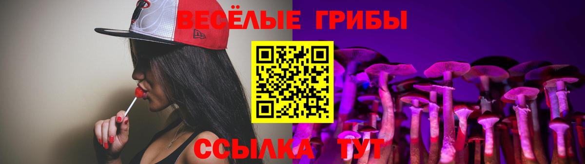 Галлюциногенные грибы Psilocybine cubensis Калач-на-Дону